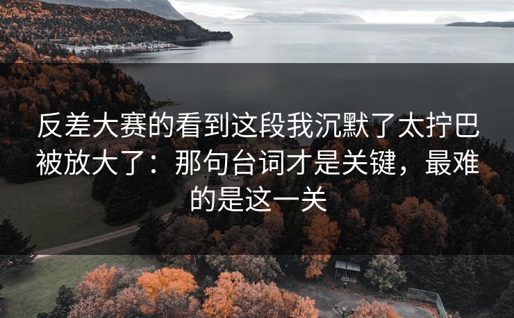 反差大赛的看到这段我沉默了太拧巴被放大了：那句台词才是关键，最难的是这一关